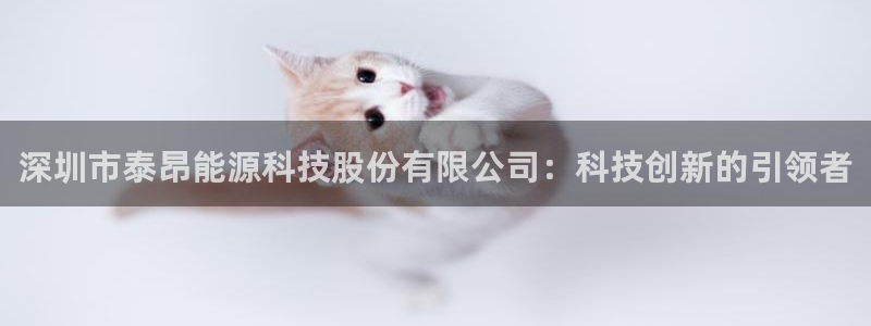 sunbet官网开户登录手机版