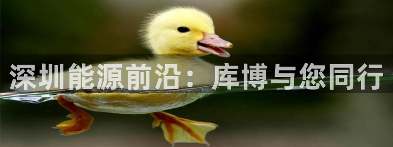 申博官网电脑版下载