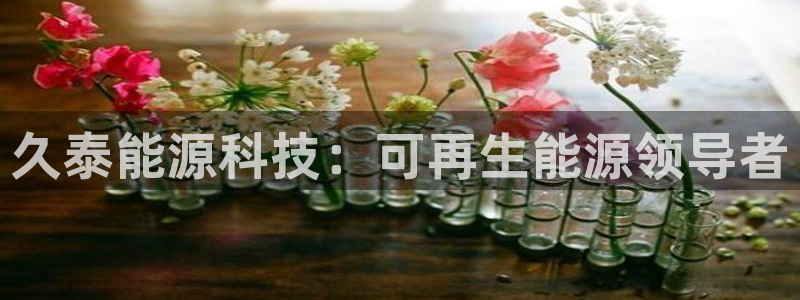 sunbet最新登陆