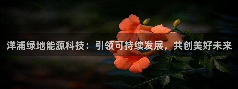 sunbet中文