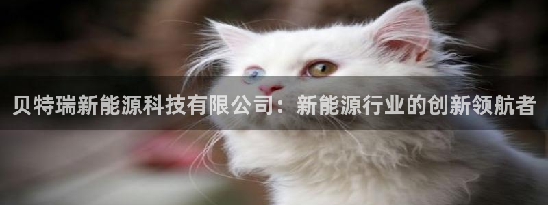 sunbet官网app首页