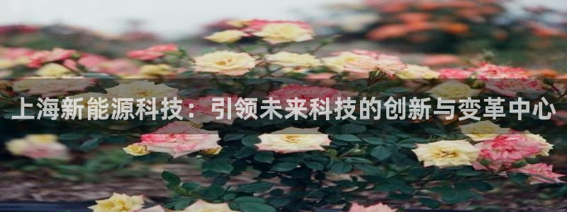 sunbet靠谱吗