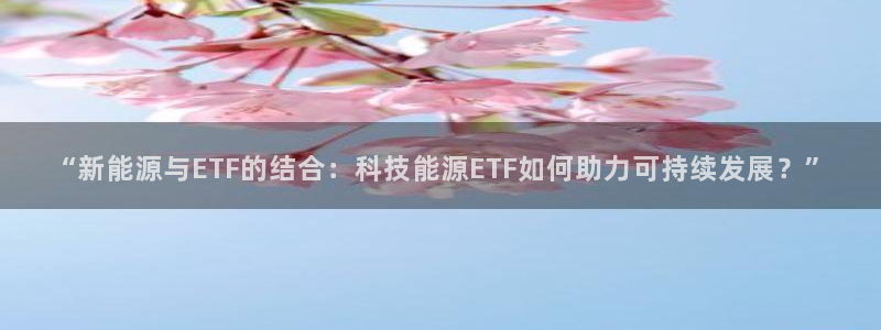 sunbet源码