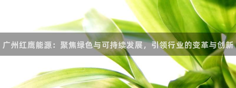 sunbet官网手机版