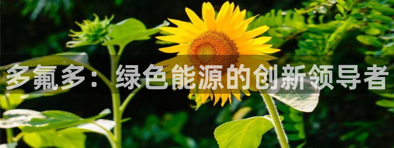 进入sunbet官网手机版登陆