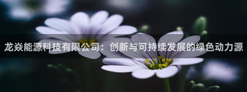 申博官网手机客户端